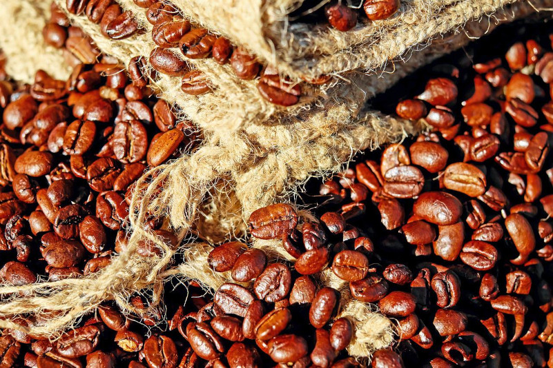 arabica Nuage Coffee Roasters